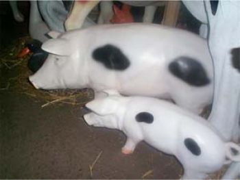 Spotted Pig